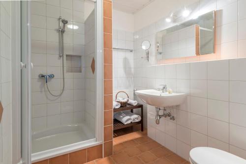 La salle de bains est pourvue d'une douche, d'un lavabo et de toilettes. dans l'établissement Kleinhofers Himbeernest, à Anger