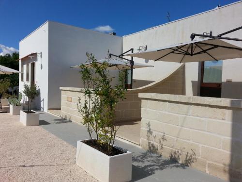 a plant in a pot next to a building with an umbrella at B&B Demetra in Carovigno