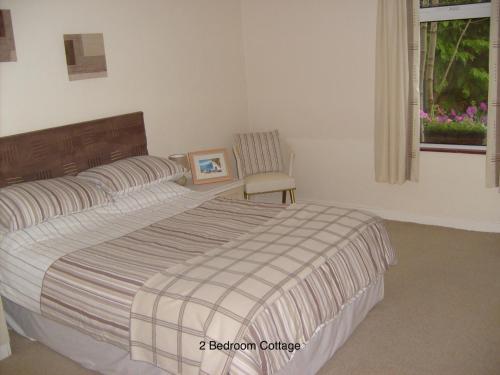 ベルファストにあるHallmount Cottage - Belfastのベッドルーム1室(ベッド1台、椅子、窓付)