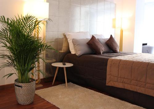 a bedroom with a bed and a potted plant at Résidence et Chambres d'Hôtes de La Porte d'Arras in Douai