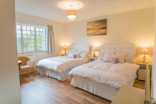 a bedroom with two beds and a window at Dorney's B&B in Gorey