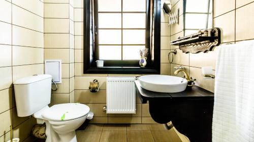 a bathroom with a toilet and a sink at Pensiunea La Moară in Fundu Moldovei