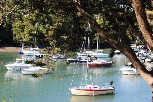 a bunch of boats are docked in the water at Gîte de Kermal in Bannalec