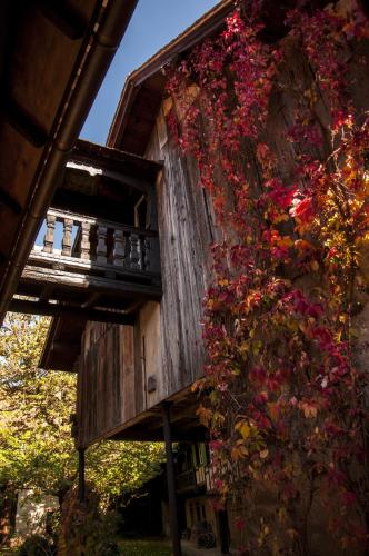Unter der Linde – Photos 4