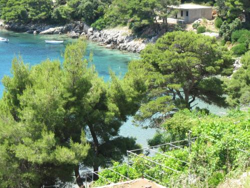 Φωτογραφία από το άλμπουμ του Apartments Pavlić σε Saplunara
