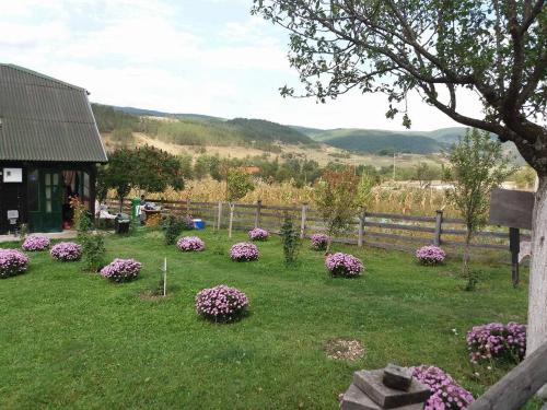 a bunch of flowers in a yard next to a fence at Holiday Home Vila Milka in Kremna