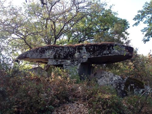 a stone bench covered in moss on top of a hill at B&B I Menhir in Sorgono