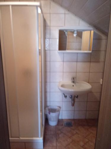 a small bathroom with a sink and a mirror at Bed&Breakfast Zilje in Vinica
