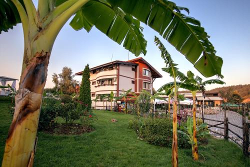 a house with a palm tree in front of a yard at Makaza Complex in Momchilgrad