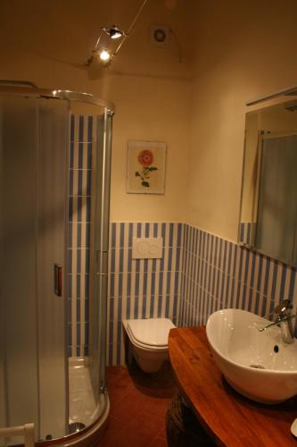 bagno con doccia, lavandino e servizi igienici di Podere Il Trebbio, porzione di villa a Gaiole in Chianti