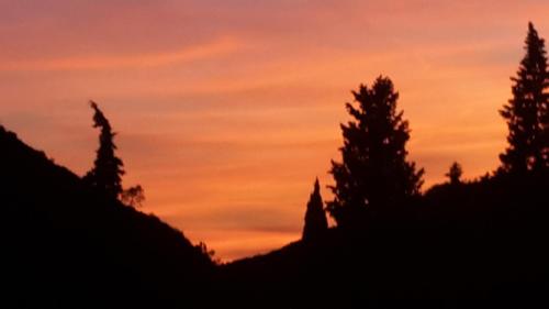a silhouette of trees against a sunset at Come a casa in Deiva Marina