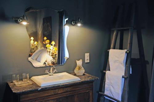 a bathroom with a sink and a mirror at Maison d'Hôtes La Singulière in Sévérac-le-Château