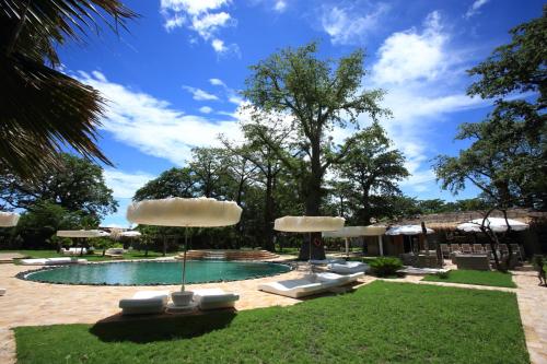 a swimming pool with umbrellas and lounge chairs at Les Palétuviers in Toubakouta