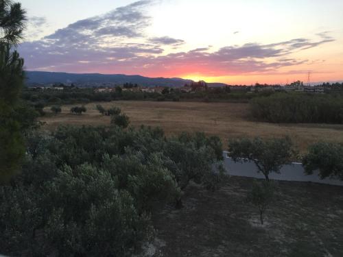 a sunset over a field with trees and a river at Phoenix Beachside Condos in Kokóni