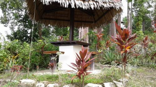 Jardín al aire libre en Evergreen Bayview