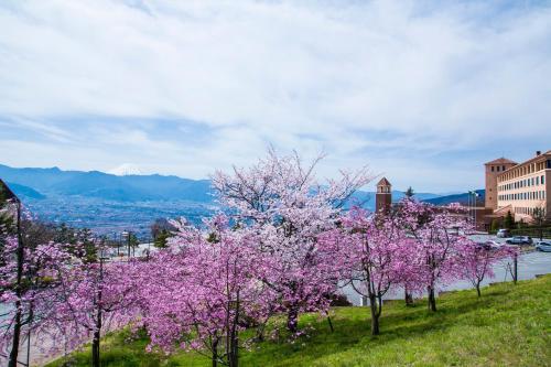 a row of trees with pink flowers in a city at Fruit Park Fujiya Hotel in Yamanashi