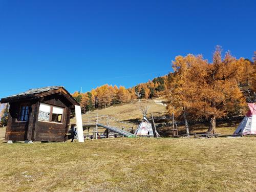 a small shack on a hill with trees in the background at Chalet Schneevogul in Grächen