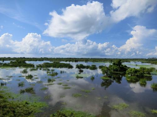 a large body of water with trees and clouds at The Tasty Tuna Cabana in Arugam Bay
