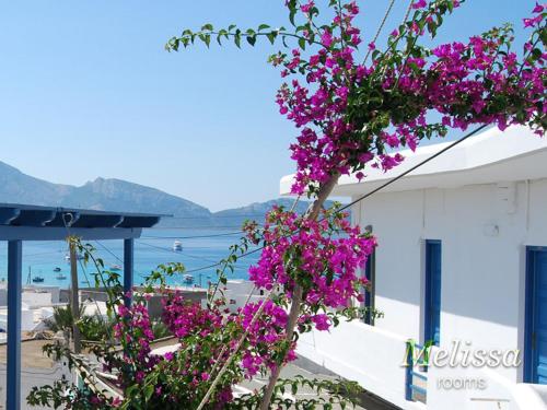 a plant with purple flowers on the side of a building at Melissa Chora in Koufonisia