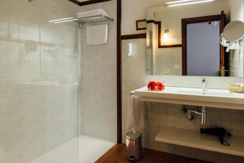 a bathroom with a shower and a sink and a mirror at Hotel Bodega EL GRIFO in San Bartolomé
