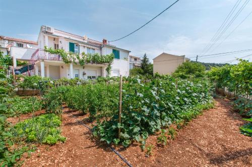 Apartments Mala Dalmacija – Photos 3