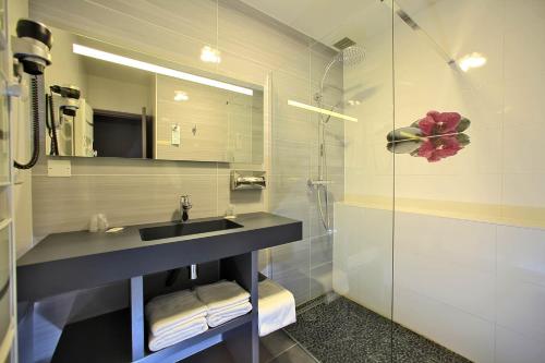 a bathroom with a sink and a mirror at Hotel Restaurant Laborderie in Tamniès