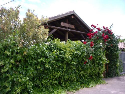 Zahrada ubytování Casas Don Ignacio