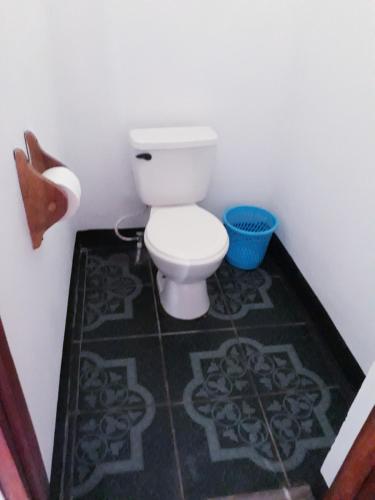 a bathroom with a white toilet in a room at Hospedaje Bananas in Altagracia