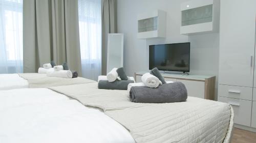 ウィーンにあるLotus Apartment Viennaのベッドルーム1室(ベッド3台、薄型テレビ付)