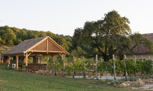 Taman di luar Édenkert Vendégházak