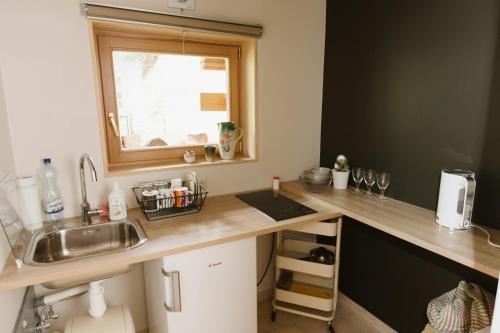 a kitchen with a counter with a sink and a window at Buļļi in Riga