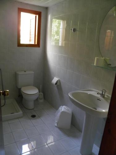 a bathroom with a sink and a toilet and a mirror at Samaria in Agia Roumeli