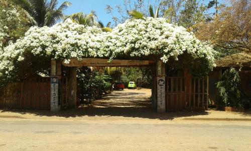 Taman di luar Le Village Diego