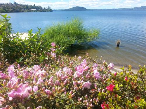 a view of a body of water with pink flowers at Koutu Beach Bed and Breakfast in Rotorua