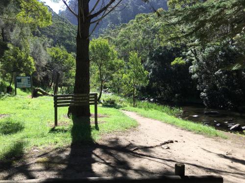 a park bench sitting next to a tree next to a trail at Cumberland River Holiday Park in Lorne