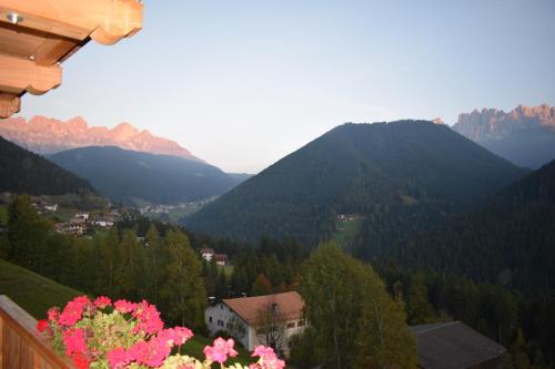 a view of a valley with mountains and pink flowers at Kellnerhof in Nova Levante