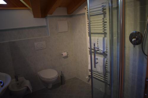 a bathroom with a toilet and a glass shower at Kellnerhof in Nova Levante