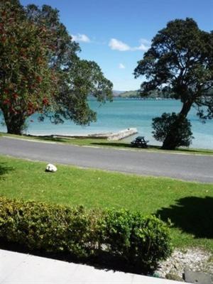 a sheep laying in the grass next to a road at Paku Lodge Resort in Tairua
