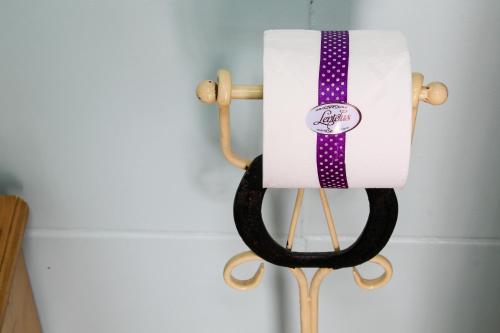 a ribbon holder with a purple tie on it at Lentelus Guesthouse in George