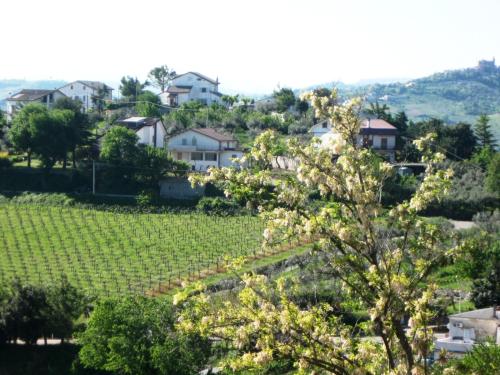 a view of a vineyard from a hill with houses at Tra mare e monti in Chieti