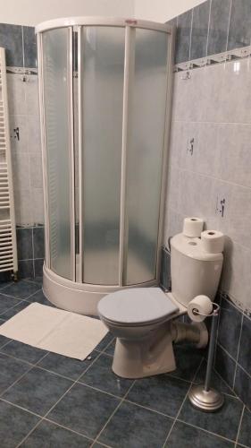 a bathroom with a toilet and a shower at Penzión Zlatý Jeleň in Košice