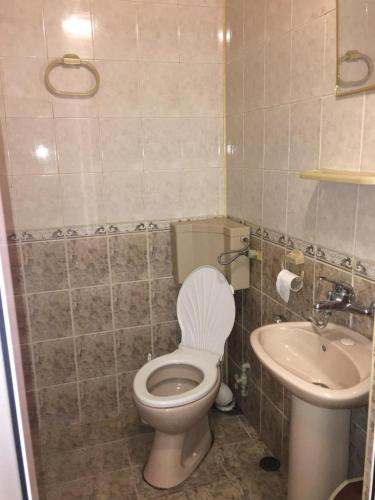 a bathroom with a toilet and a sink at Europe Dunav Apartment in Vidin