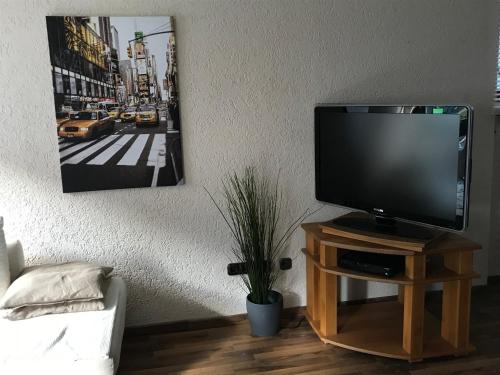 TV de pantalla plana en un soporte de madera con maceta en Ferienwohnung Gisela, en Lindenfels