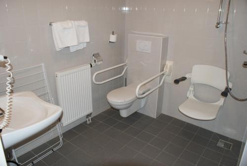 a bathroom with a toilet and a sink at Groepsaccommodatie Vollenhove in Vollenhove