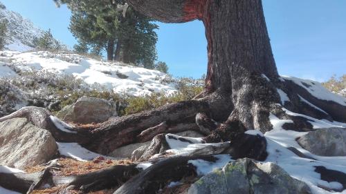 Φυσικό τοπίο κοντά σε αυτό το διαμέρισμα