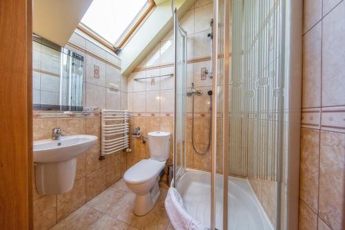 ein Bad mit einem WC, einem Waschbecken und einer Dusche in der Unterkunft Hotel Pod Gołębiem in Wisła