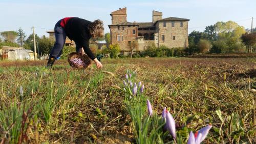 Taman di luar Agriturismo Abbazia Sette Frati a casa di Sara