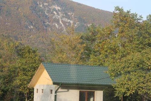 a house with a green roof in front of a mountain at Taripiri in Ambrolauri
