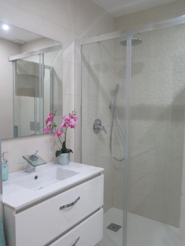 ベナルマデナにあるMediterranean Ocean Front Apartmentのバスルーム(白いシンクと白いカウンター付きのシャワー付)