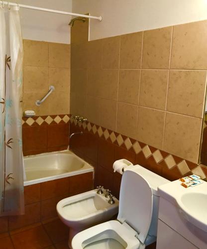 a bathroom with a toilet and a sink and a tub at Altoparque Hotel Salta in Salta
